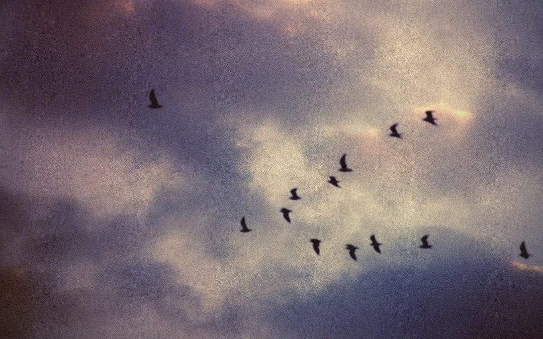 Setting your intentions for a fulfilling New Year