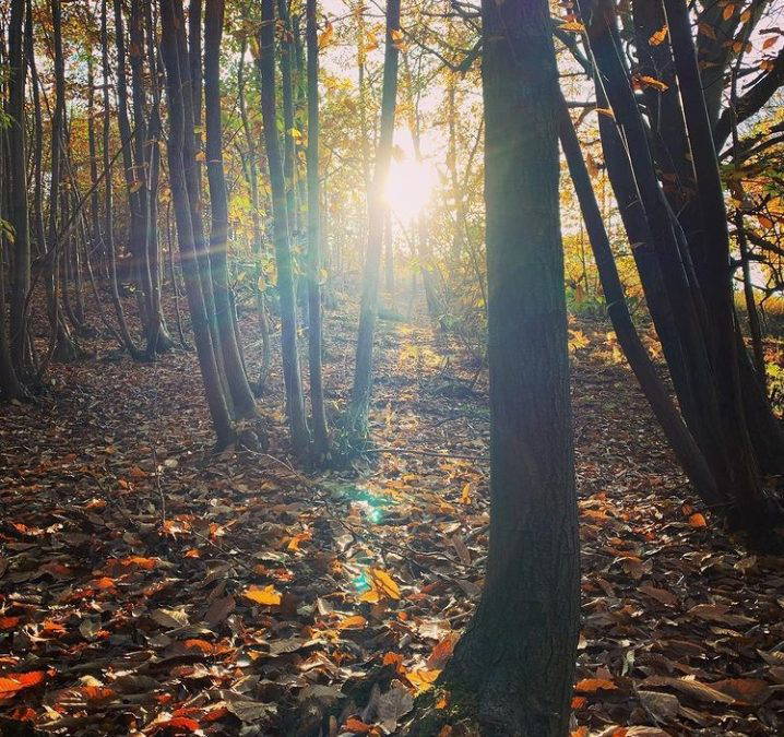 Transitioning with the seasons