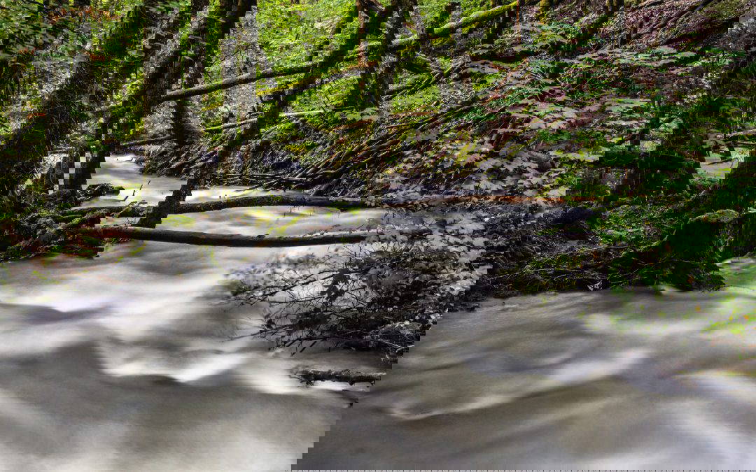 The ebb and flow of our mental health
