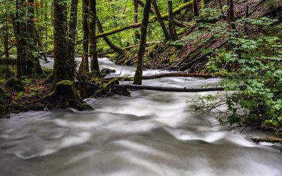 The ebb and flow of our mental health