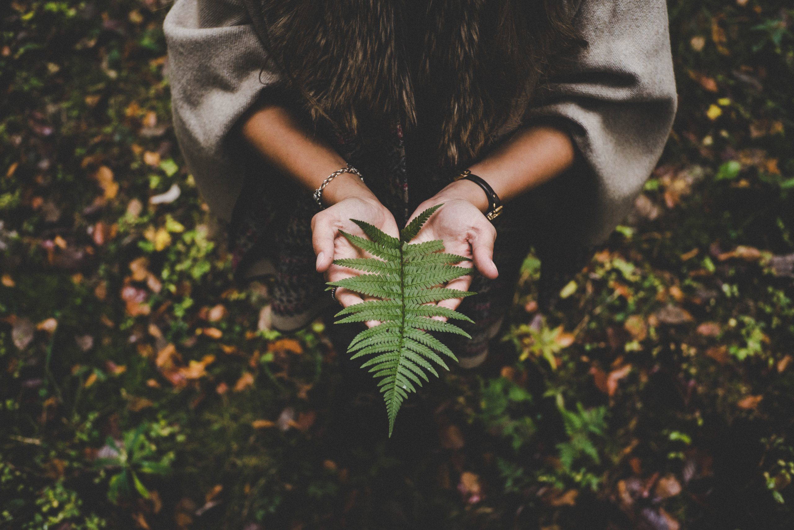 Growing inner resource and resilience in stormy times